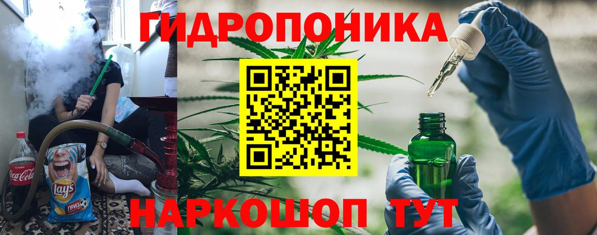 Каннабис конопля Кизилюрт